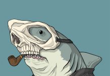 Android Gadget Review: Little Improvements Make a Big Difference